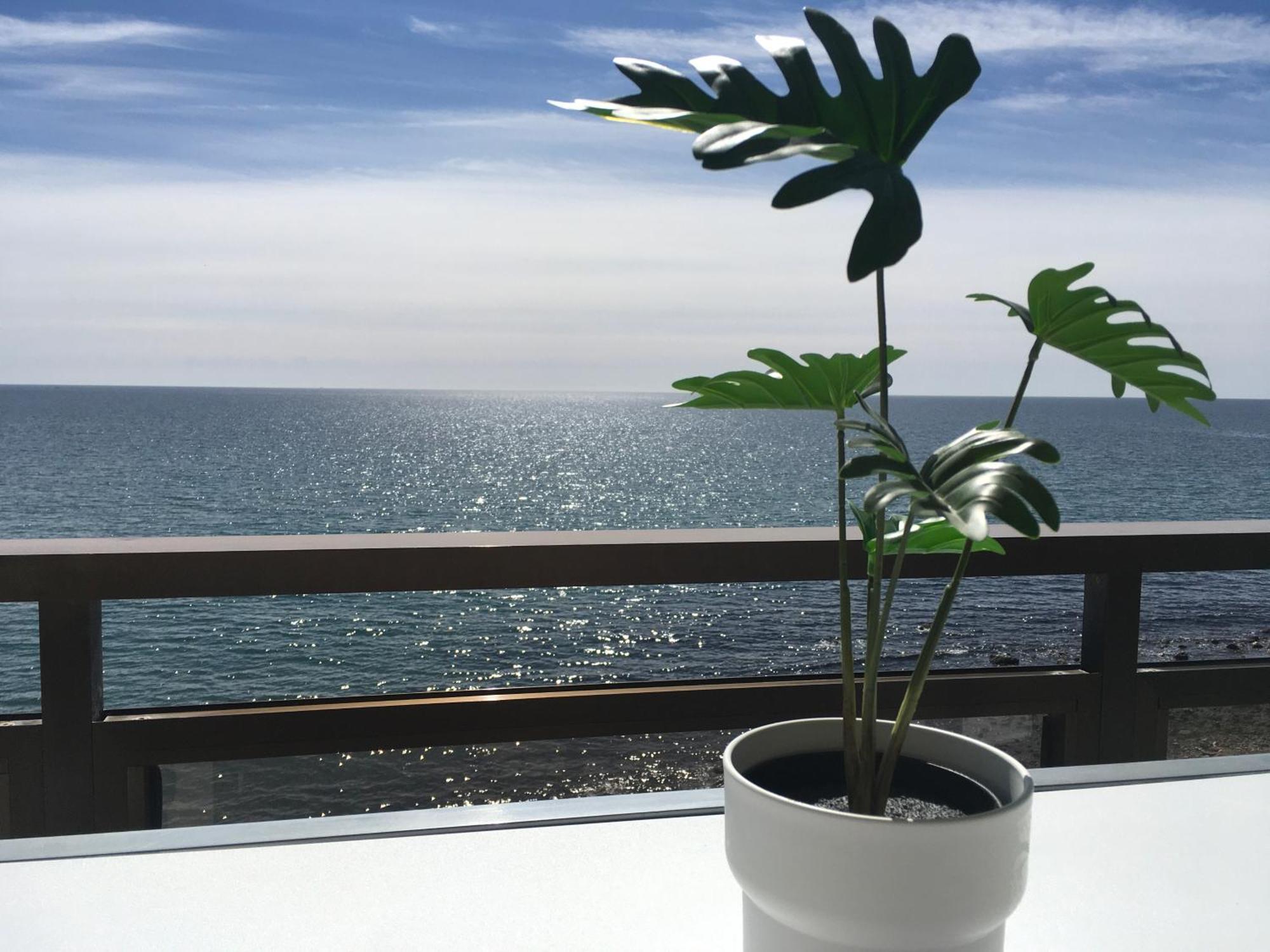 Malibu Apartment เบนัลมาเดนา ภายนอก รูปภาพ